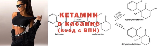 ешки Аркадак